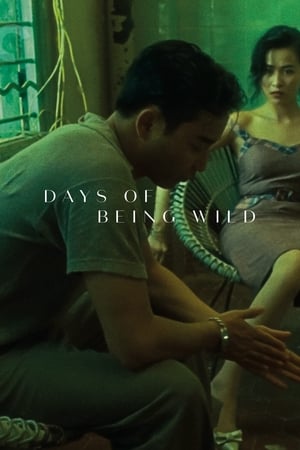 Days of Being Wild Aka Ah fei jing juen (1990)