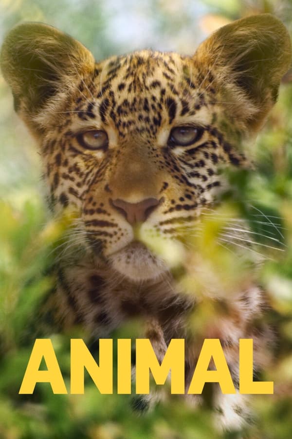 Animal (2021)