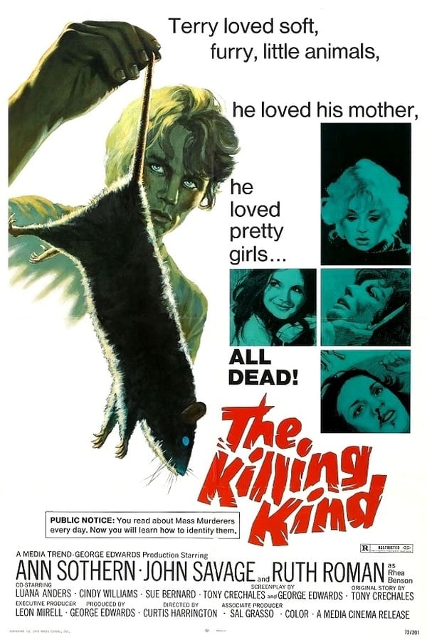 The Killing Kind (1974)