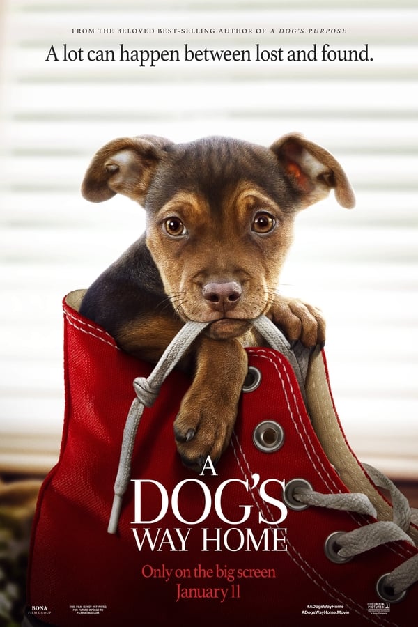 A Dog's Way Home (2019) 