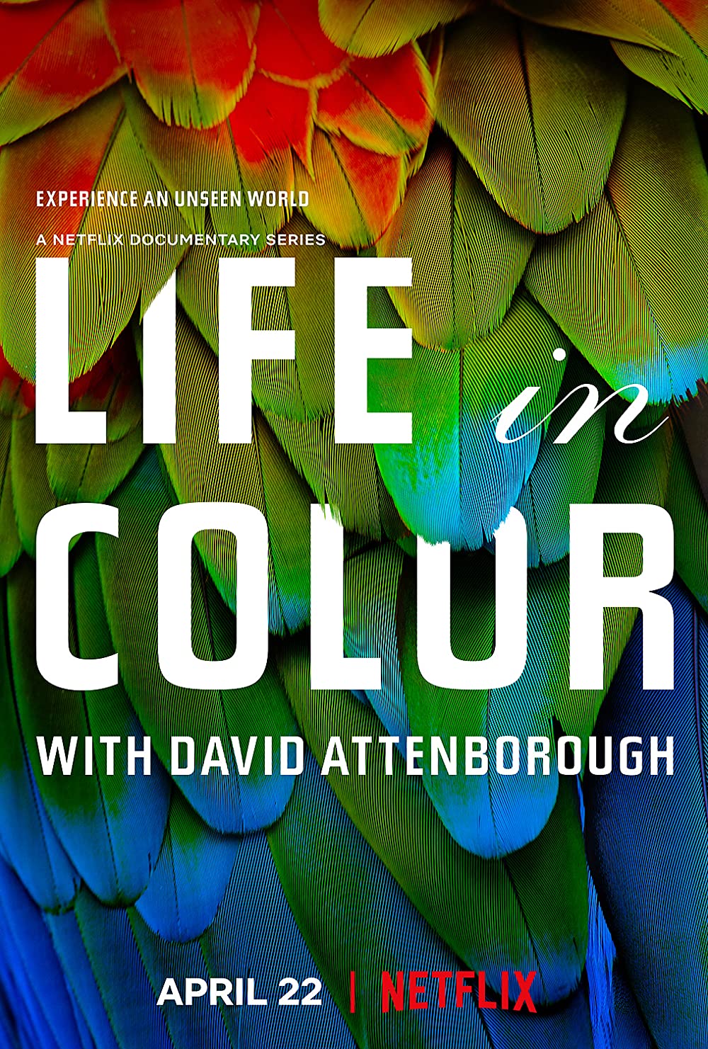 Life in Colour (2021)