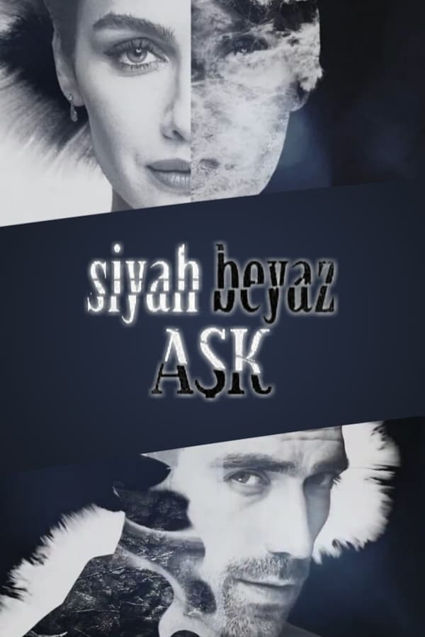 Siyah Beyaz Ask Aka Price Of Passion (2017)