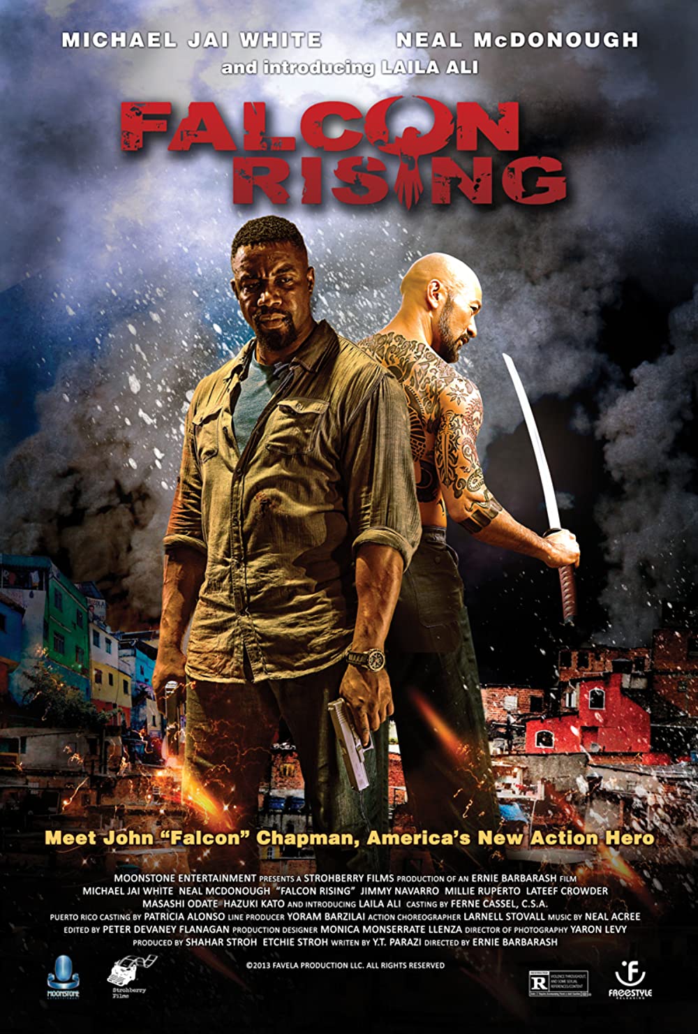 Falcon Rising (2014) 