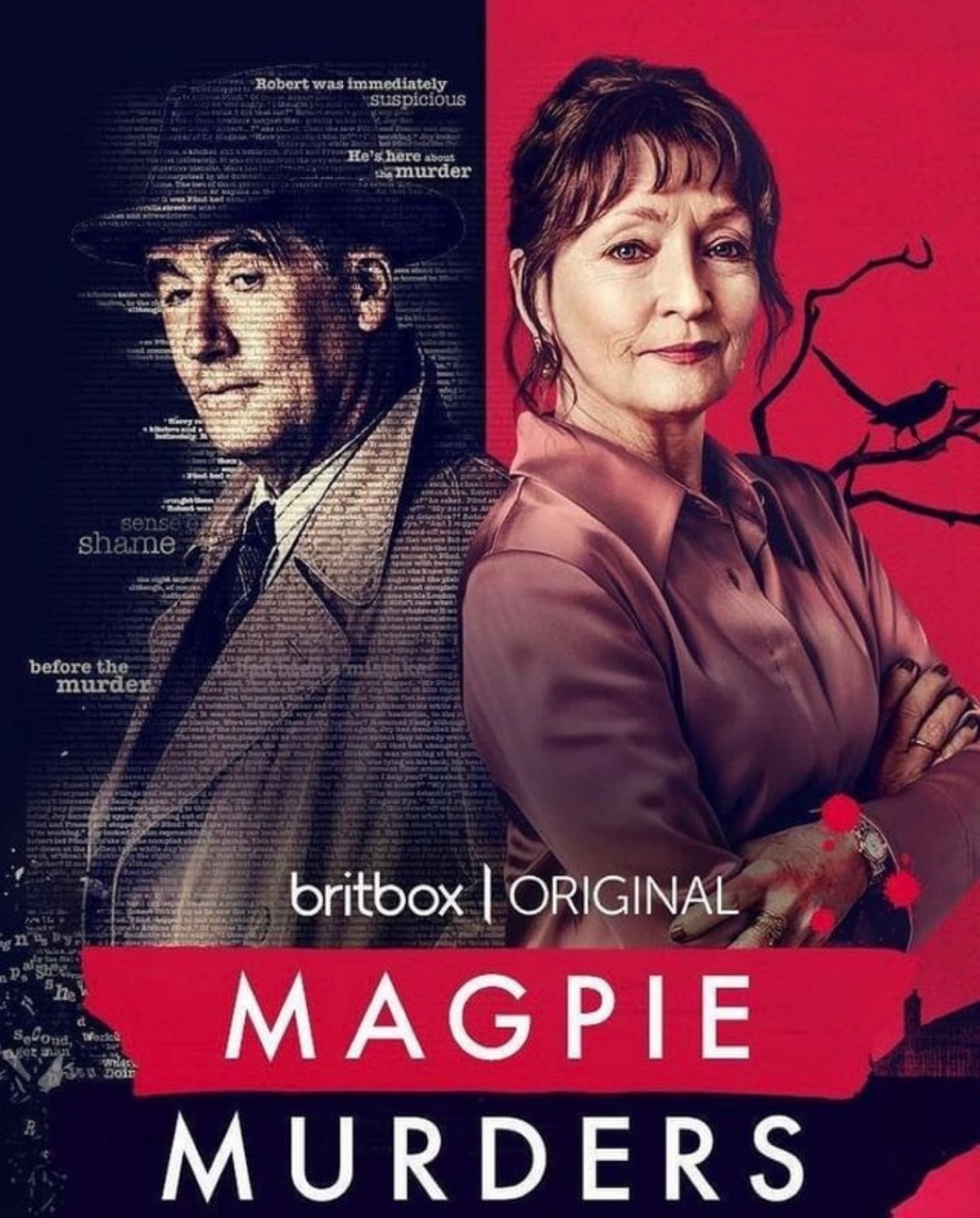 Magpie Murders (2022) 1x6