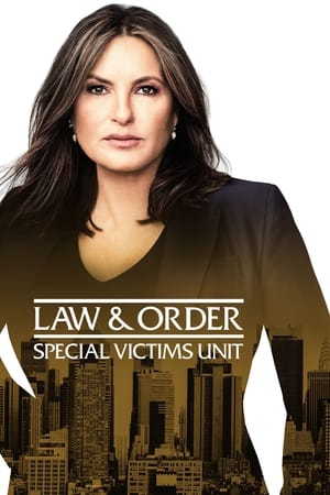 Law & Order: Special Victims Unit (1999) 24x22
