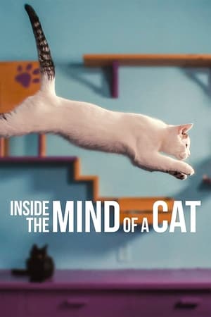 Inside the Mind of a Cat (2022) 