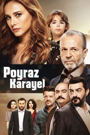 Poyraz Karayel (2015) 3x20