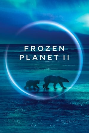 Frozen Planet II (2022) 1x6