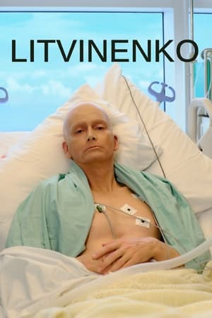 Litvinenko (2022) 1x4