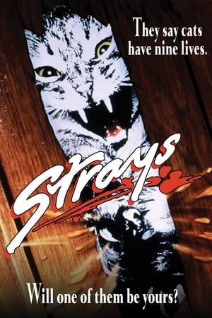 Strays (1991) 