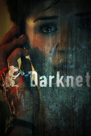Darknet (2013) 1x6