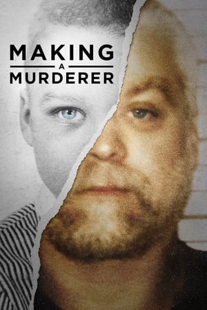 Making a Murderer (2015) 2x10