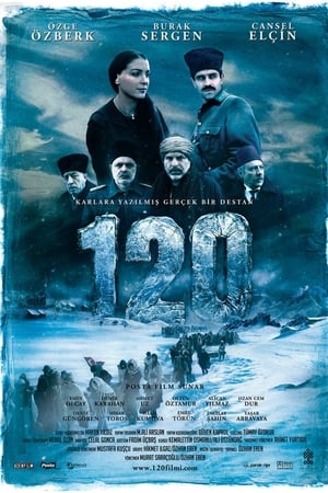 120 (2008)