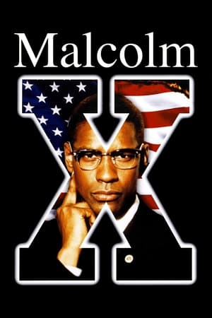 Malcolm X (1992)