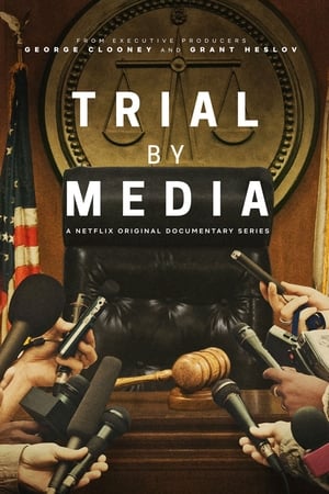 Trial by Media (2020) 1x6
