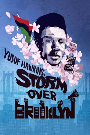 Yusuf Hawkins: Storm Over Brooklyn Aka Storm Over Brooklyn (2020)