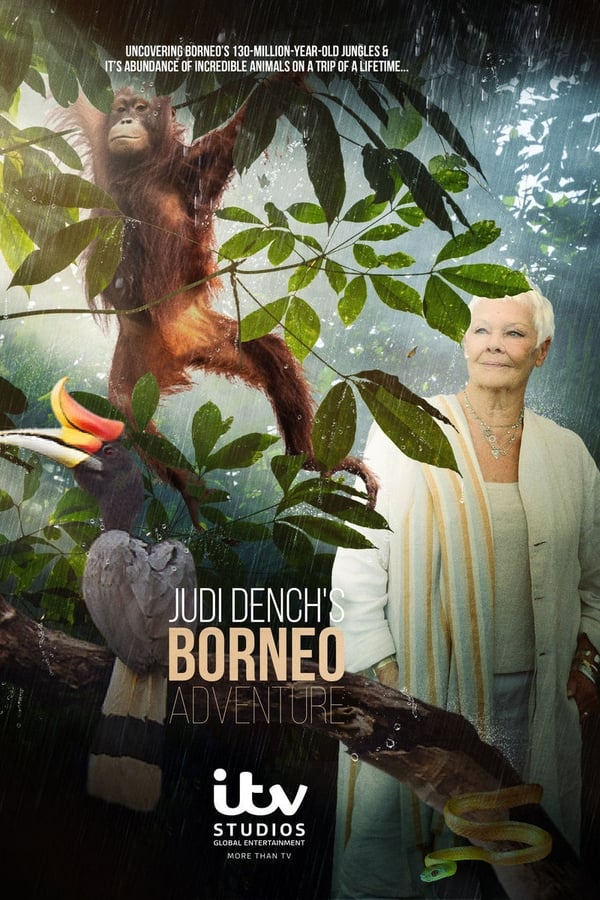 Judi Dench's Wild Borneo Adventure (2019)