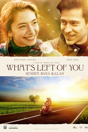 What's Left of You Aka Senden Bana Kalan (2015)